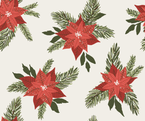 Christmas Cheer - REV 150 red poinsettia christmas flowers