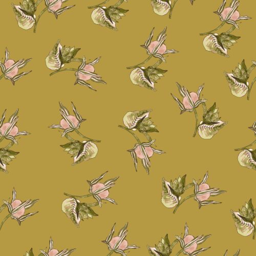 Budding Friendship in Cornstalk