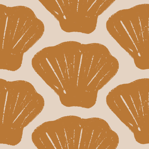 Scallop Shells Orange