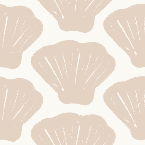 Scallop Shells White