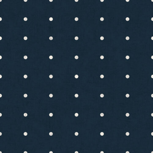 AllStar Dots NavyBlue Textured