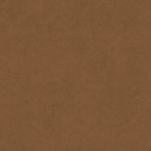 AllStar LeatherBrown