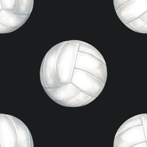 AllStar Volleyball Black