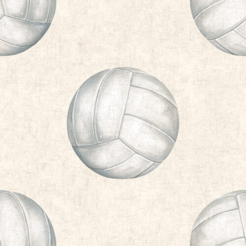 AllStar Volleyball Cream Textured
