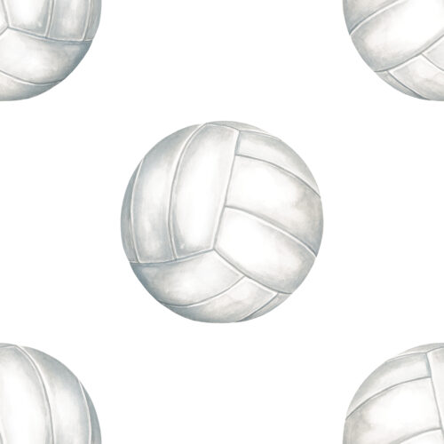 AllStar Volleyball White