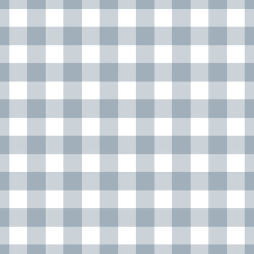 Avaleigh Light Blue Gingham