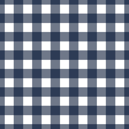 Avaleigh Navy Blue Gingham