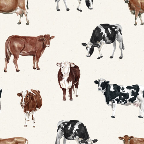 Cows TexturedCream