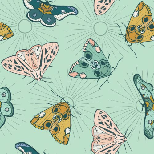 Callisto Moon Sunburstmoths Mintblue