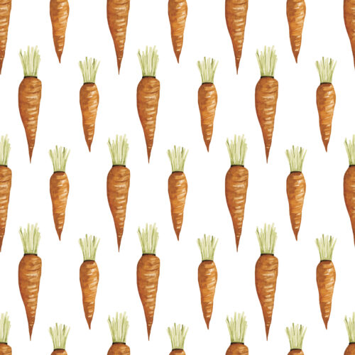 Carrot Patch