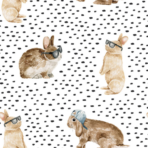 Cool Bunnies and Dashes