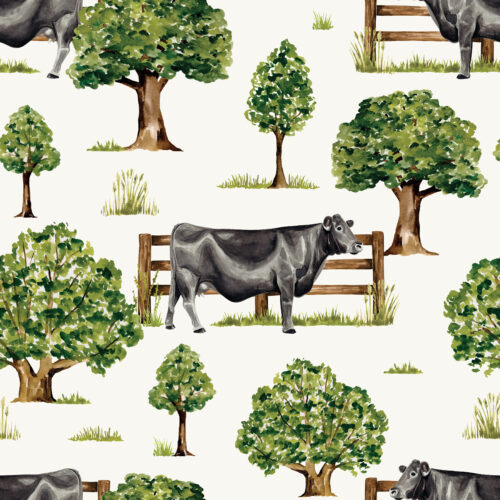 CR FarmandMeadow Countryside BlackAngusCow