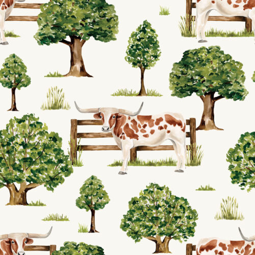 CR FarmandMeadow Countryside TexasLonghornCow