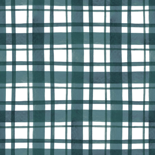 FrmhsCmas Plaid Blue