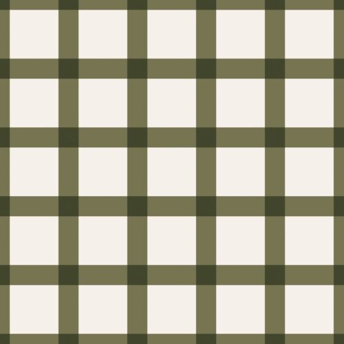 Felicity Gingham Green Cream