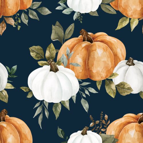 Felicity Pumpkins Navyblue