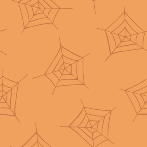Little Boo Spiderweb Orange