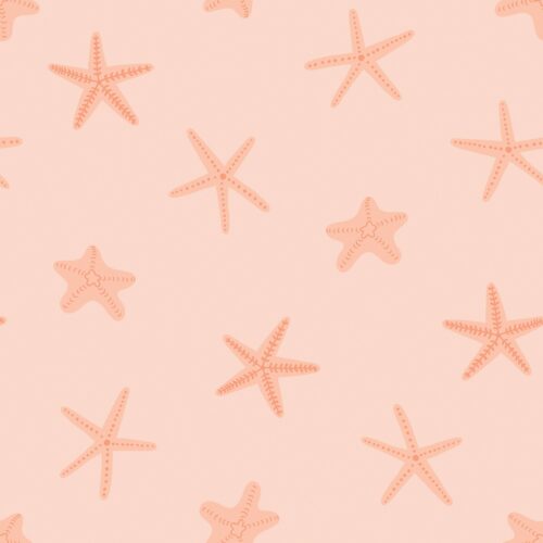 Mermaid Muse Starfish