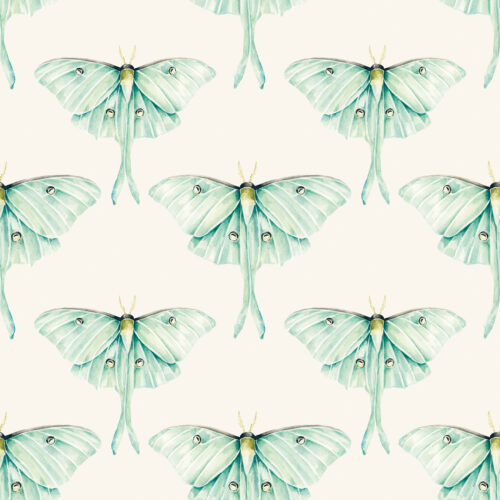 CR MoonlitHollow LunaMoth Light