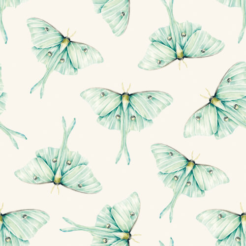 CR MoonlitHollow LunaMoth Tossed Light