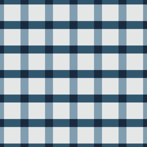 Gingham Blue