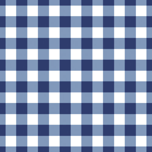 Blue and White Gingham