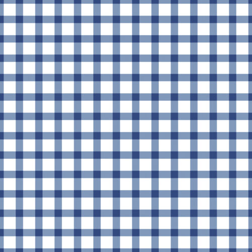 Blue and White Small Gingham