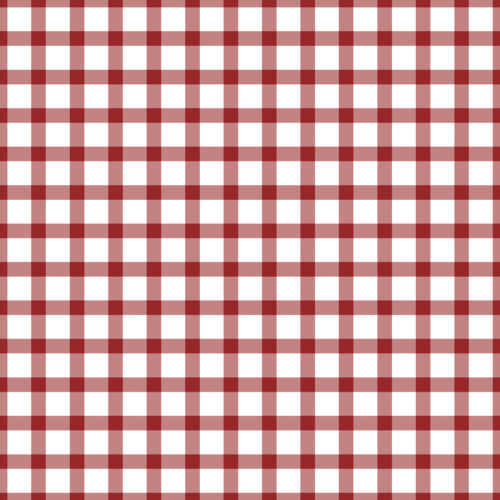 Red and White Small Gingham
