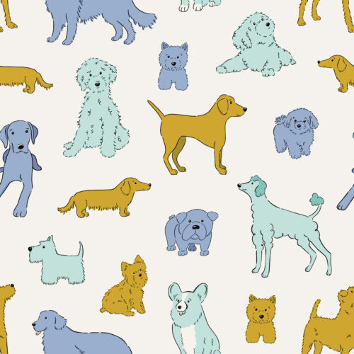 CR PetShop Dogs BlueYellow