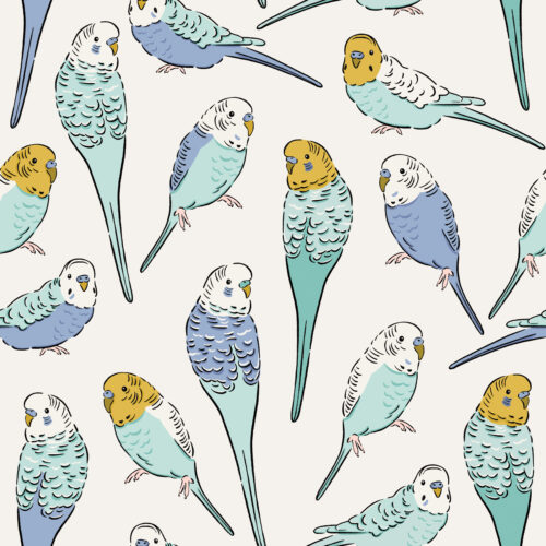 CR PetShop Parakeets