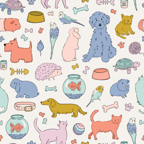 CR PetShop Pets Colorful