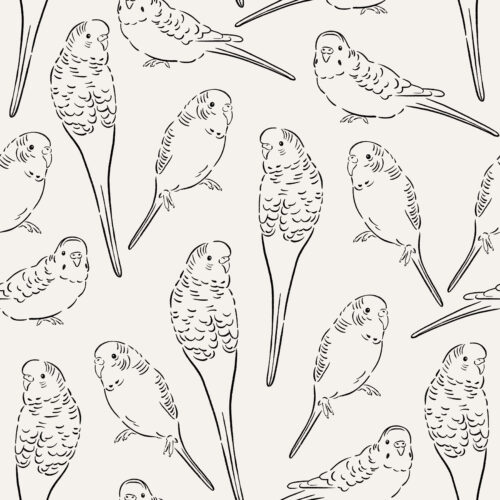 CR PetShop Sketched Parakeets BlackCream
