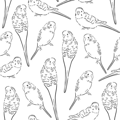CR PetShop Sketched Parakeets BlackWhite
