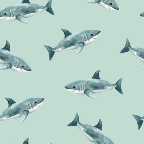 Pirates Ahoy Sharks Aqua