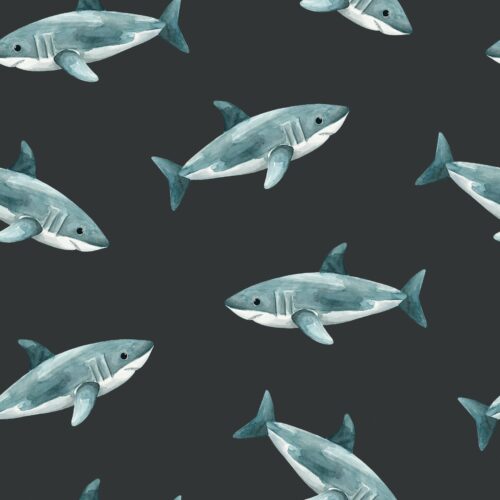 Pirates Ahoy Sharks Black