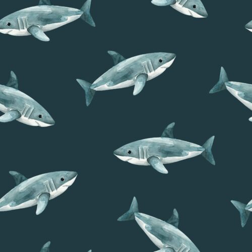 Pirates Ahoy Sharks Darkblue