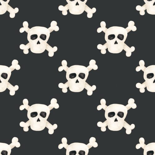 Pirates Ahoy Skulls Black