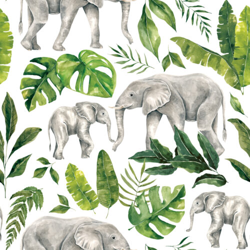 Elephant Foliage