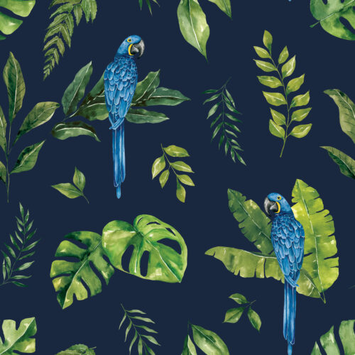 Macaw NavyBlue