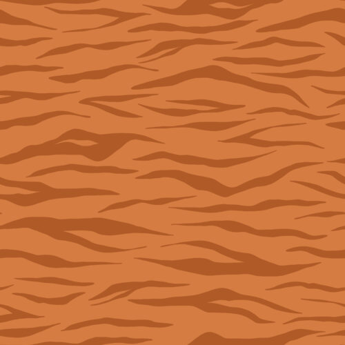 TigerStripe Orange