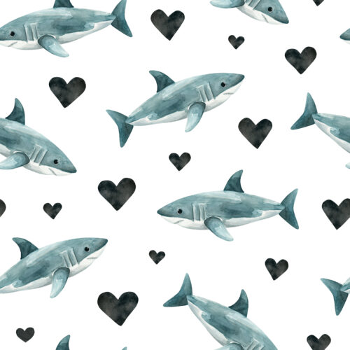 Valentine Sharks White
