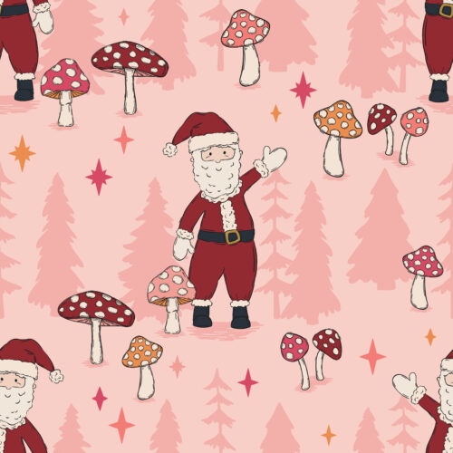 WhimsicalWinter SantaClaus Pink