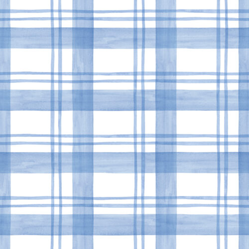 CR WildflowerFields Plaid Blue