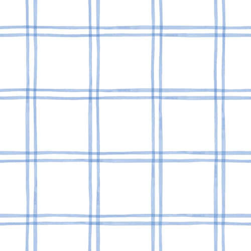 CR WildflowerFields Plaid Small Blue