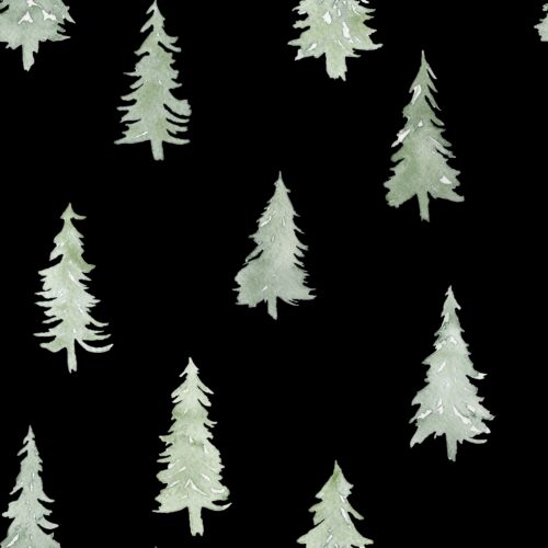 Pine Trees on Black