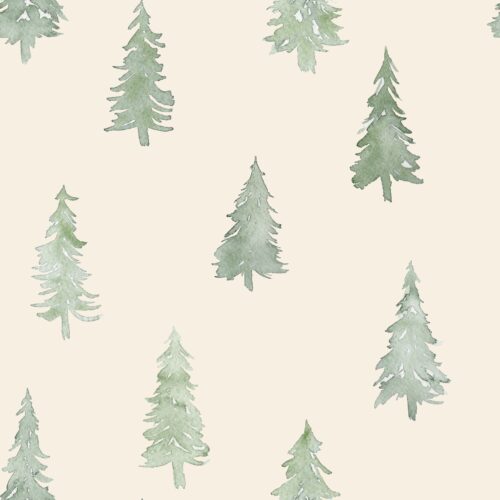Pine Trees on Cream