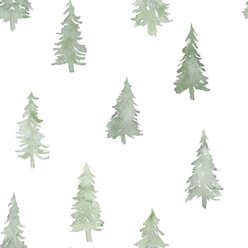 Pine Trees White
