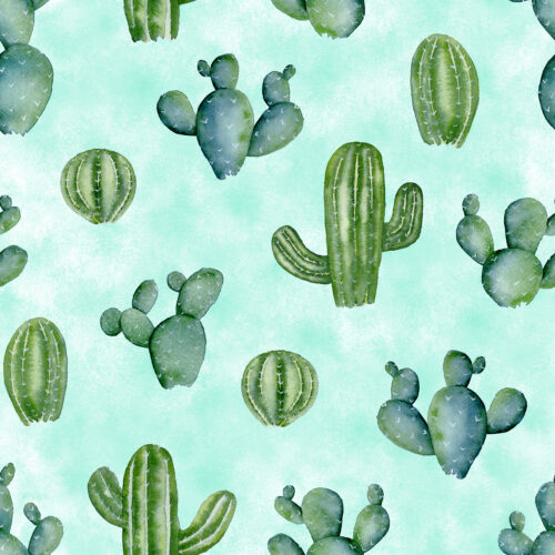 Desert Cacti on Aqua