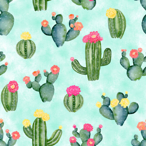 Flowering Cacti on Aqua