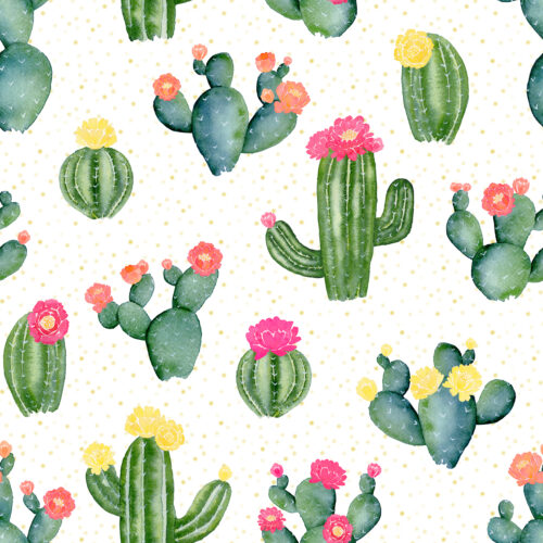 Flowering Cacti on Dots